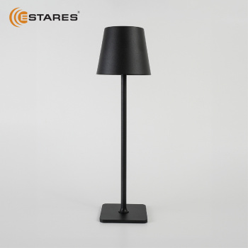 BRIZ 4W V-BLACKWHITE Озон 3.jpg