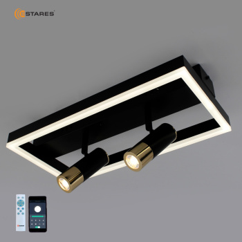 Управляемая светодиодная люстра OMEGA 36W 2DL S-APP-400x200x120-BLACK/GOLD/WHITE-220-IP20