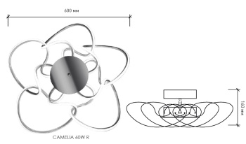 чертеж CAMELIA.jpg
