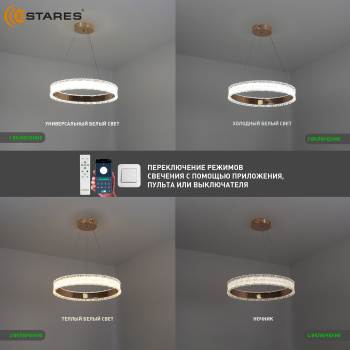 VENERA 65W R APP GOLD Озон 3